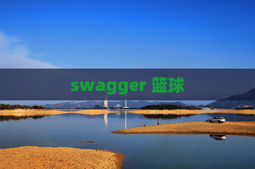 swagger 篮球 swagger 篮球