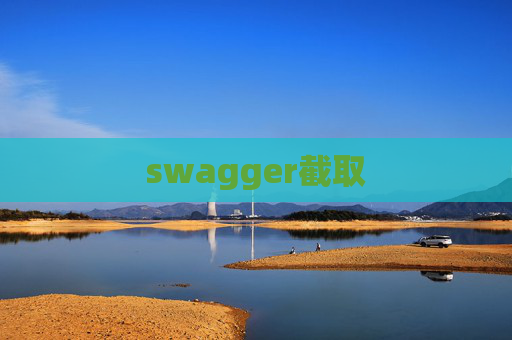swagger截取